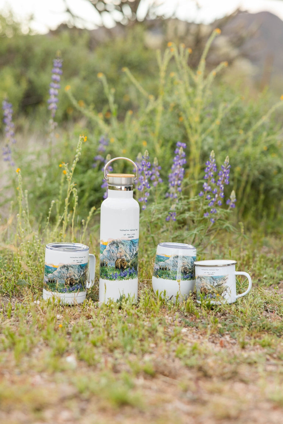 Yellowstone National Park Tumbler Cup Tumbler Couloir[ART.] 